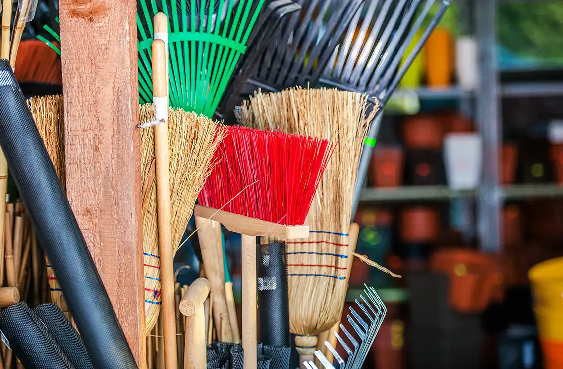 Deep Cleaning and Professional Help