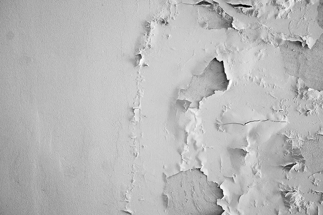 The Dust Factor